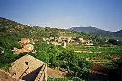 Popova Luka