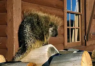 alternativní popis obrázku chybí