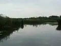 Poroszló