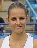 Karolína Plíšková, 2017