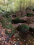 Potůček Vlčín