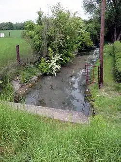 Liduška v Nymburce