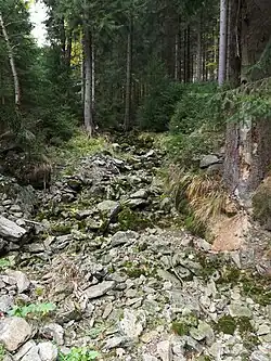 Suché koryto potoka Poniklec, kousek nad žlutou turistickou značkou
