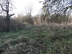 Poustka u Frýdlantu - místo někdejší usedlosti čp. 47 (2).jpg
