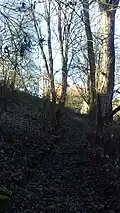 Poslední úsek původní poutní cesty pod kostelem v Kájově potřebuje opravit!
