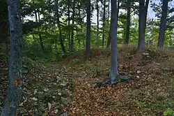Pozůstatky valu