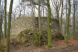 Zřícenina hradu Prácheň