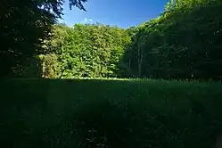 Celkový pohled