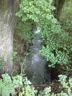 Ovčárenský potok "U Bažantnice"