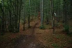 Prašnické sedlo