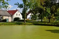 Návesní rybník