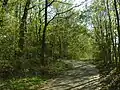 Cholupická bažantnice