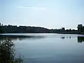 Rybník V Rohožníku