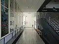 Chodba ve třetím patře (vitríny jsou původní)
