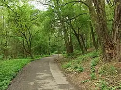 Stezka po pravém břehu Botiče nedaleko pod přehradou (květen 2010)