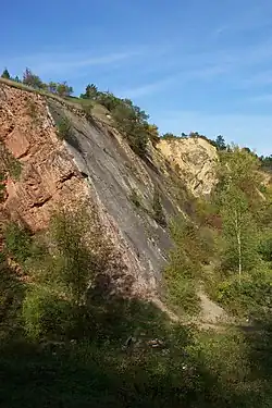 Skály