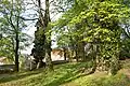 Panorama roku 2013