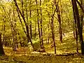 Přírodní park Šárka-Lysolaje