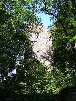 Cibulka (2012)