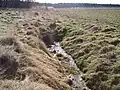 Pramen Suché Kamenice.