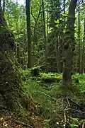 Jeden z pramenů Zábrany