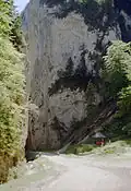 Zărneștská soutěska