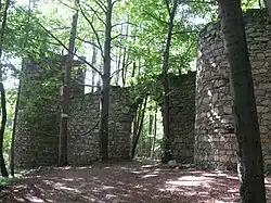 Prašivice