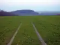 Vrchol Přerovské hůry s výhledem na Semickou hůru