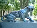 Princeton University Cleo tygr