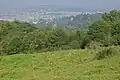 Zahradní úprava v Prior park.