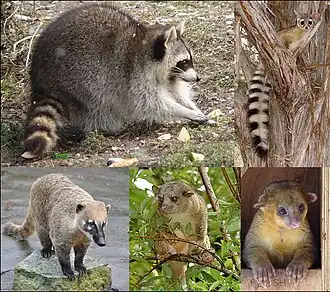 alternativní popis obrázku chybí