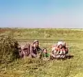 Kočovní Kyrgyzové ze stepi Golodnaja v Uzbekistánu, 1911, Prokudin-Gorskij