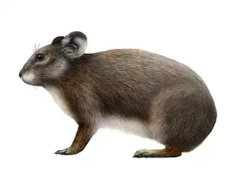alternativní popis obrázku chybí