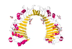 Protein CD14