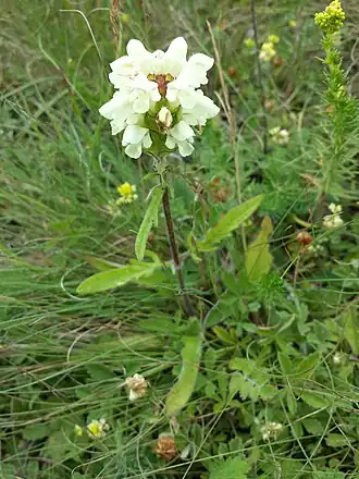 alternativní popis obrázku chybí