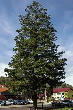 v září 2014