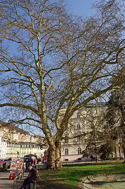 v březnu 2015