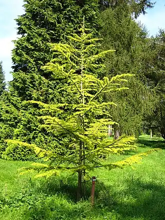 alternativní popis obrázku chybí