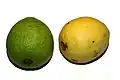 Kvajáva (plody Psidium guajava)