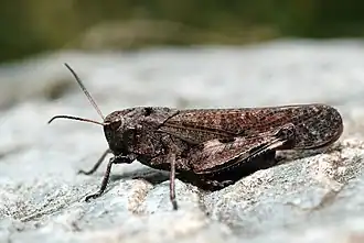 alternativní popis obrázku chybí