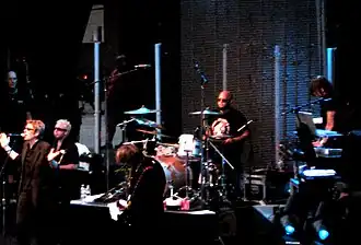 The Psychedelic Furs v roce 2008