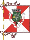Aveiro – vlajka