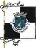 Vila Nova da Barquinha – vlajka