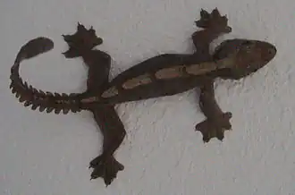 alternativní popis obrázku chybí