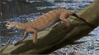 alternativní popis obrázku chybí