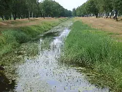 Pulsnitz nedaleko svého ústí