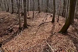 Val a příkop na jižní straně hradu