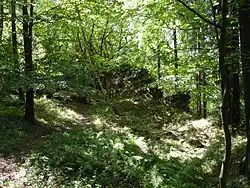 Pusty zamek2.jpg