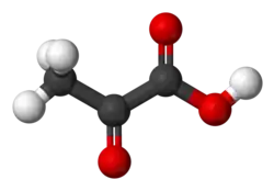 Prostorový model