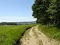 Okolní krajina